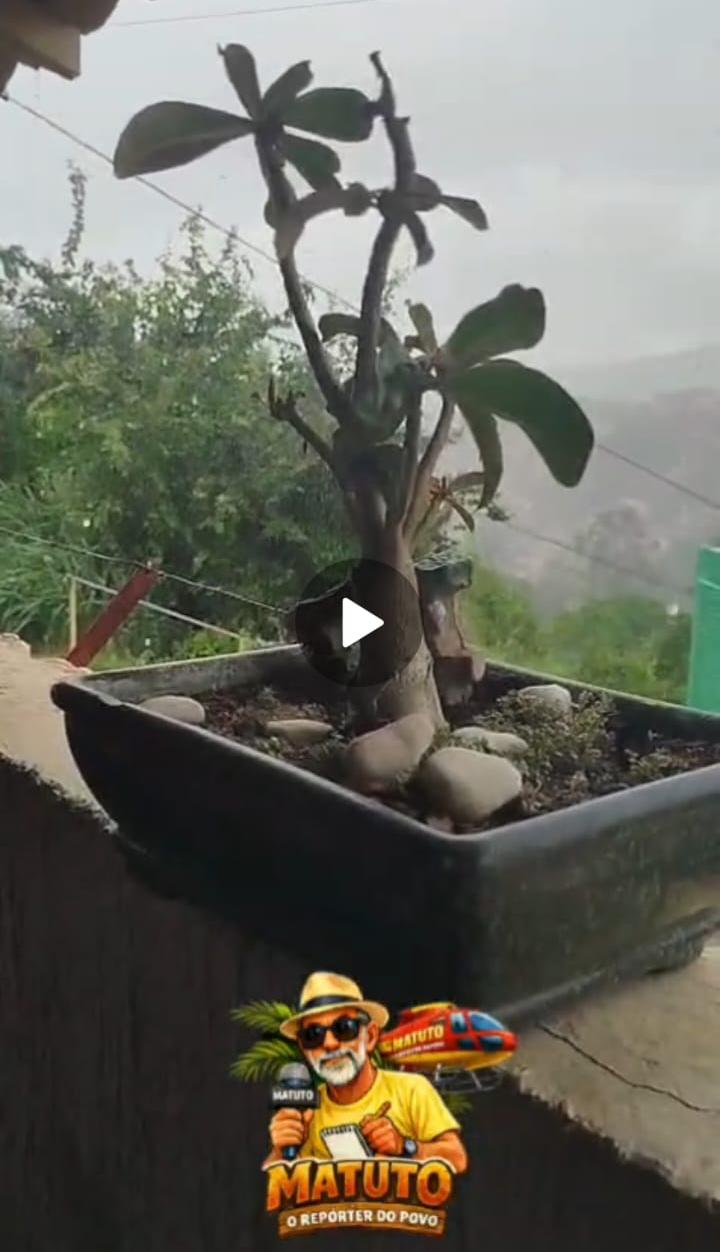 BLOG DO MATUTO VÍDIOS